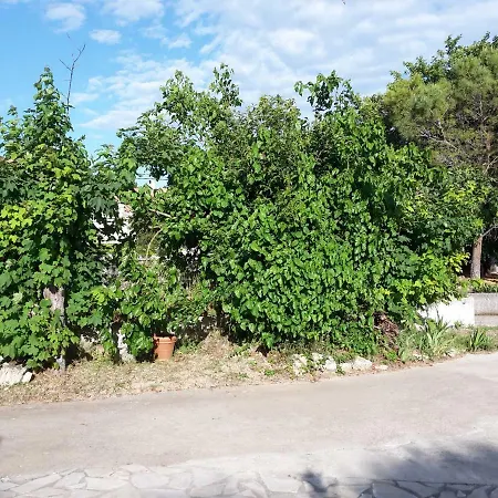 Leucate,dans La Verdure,studio Caverne En Pierre Dans Propriete Securisee דירה