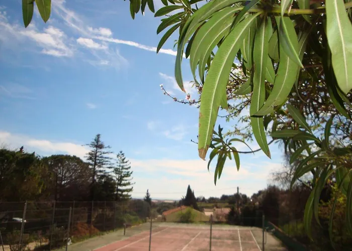 Leucate,dans La Verdure,studio Caverne En Pierre Dans Propriete Securisee * Leucate