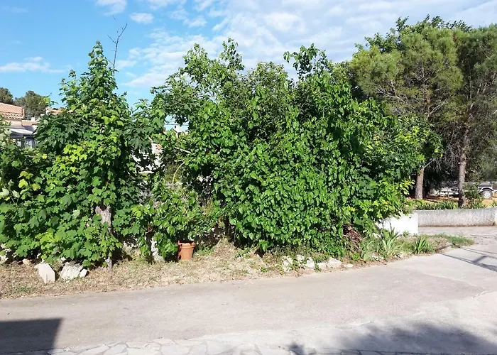 Leucate,dans La Verdure,studio Caverne En Pierre Dans Propriete Securisee דירה